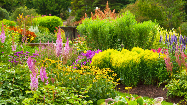 Summer garden with yellow flowers.