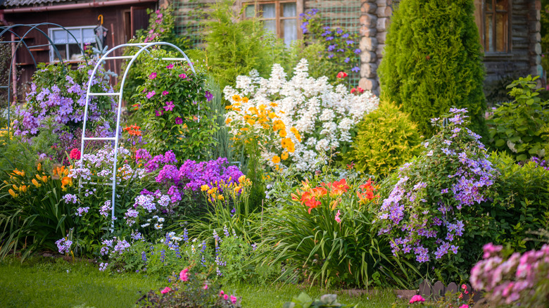 A garden with different colored flowers
