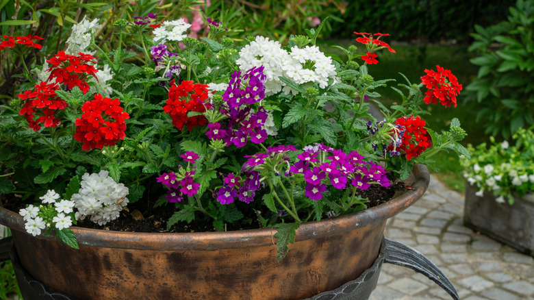 Colorful flowers planted in a copper pot.