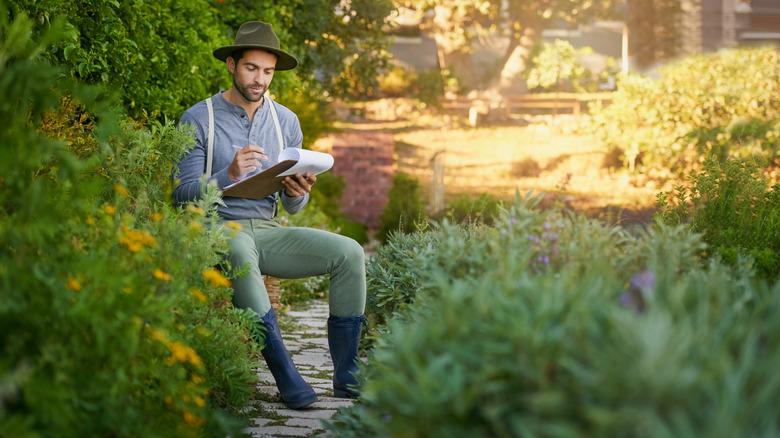 Young man working on garden design in yard