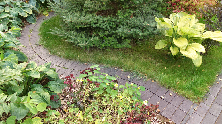 An ornamental garden with a curved brick path