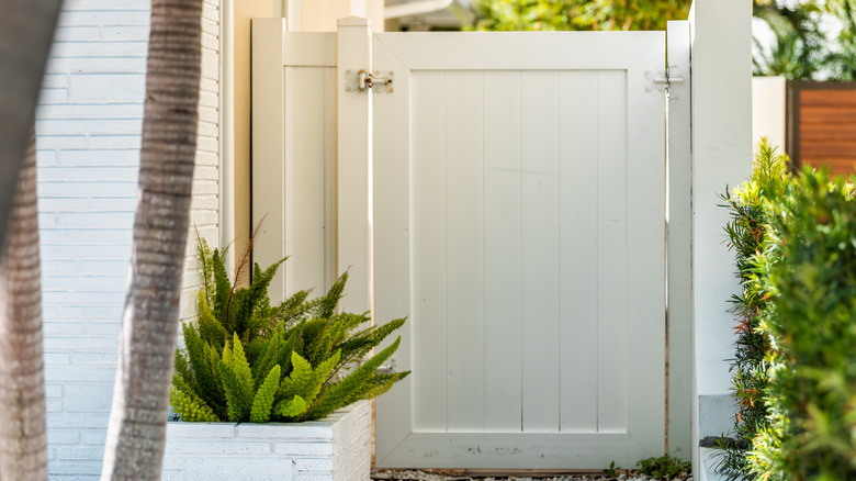 A white garden gate with painted hinges next to a potted plant and a white wall