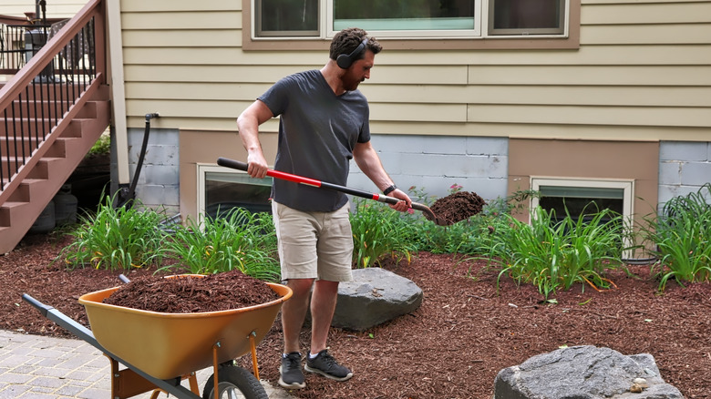 Man mulches garden