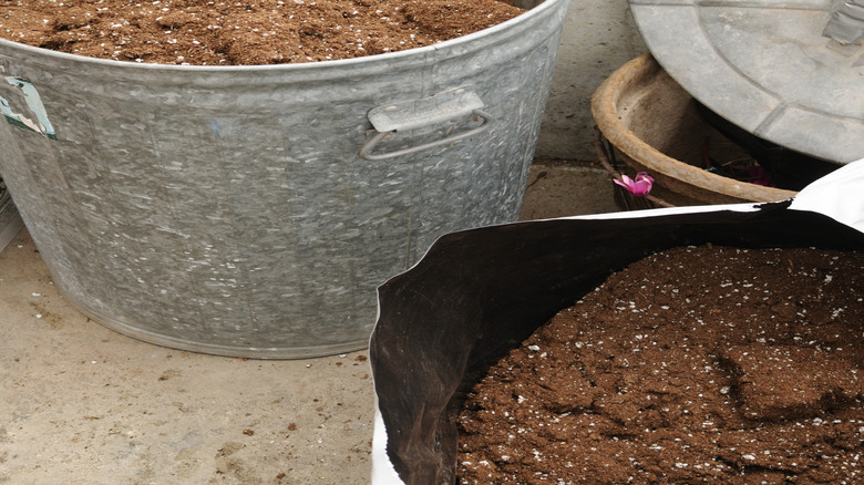 Old potting soil stored in a large metal bin with a tight-fitting lid that has been removed and put to the side.