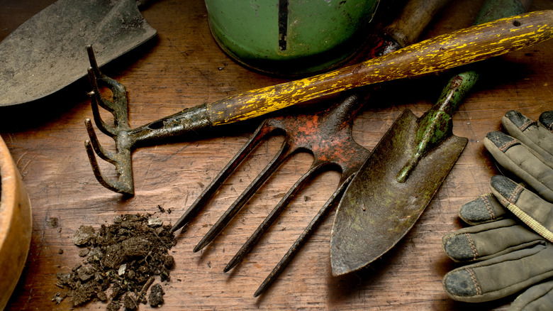 a set of well worn garden tools on a table