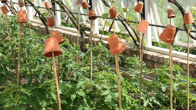 Terracotta plant pots on stakes