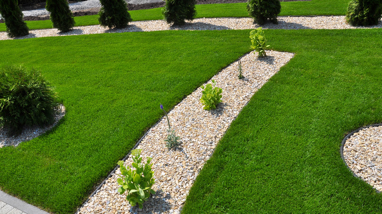 neatly landscaped lawn