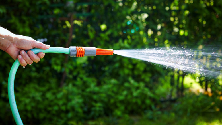 person holding hose spraying water