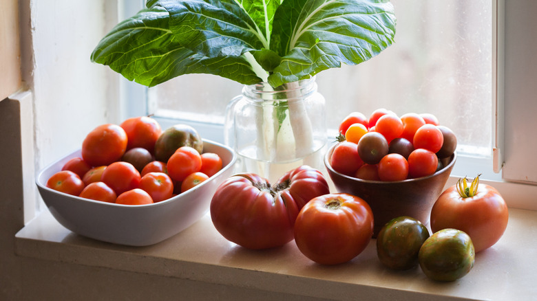 tomatoes on a windowsill