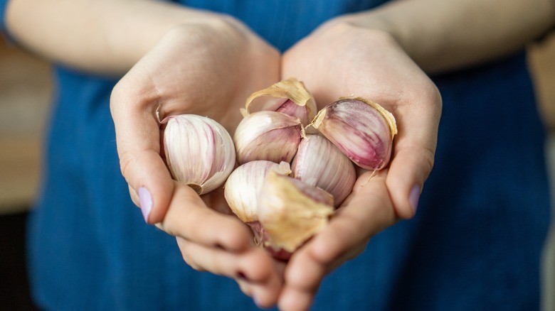 Woman holding garlic cloves 