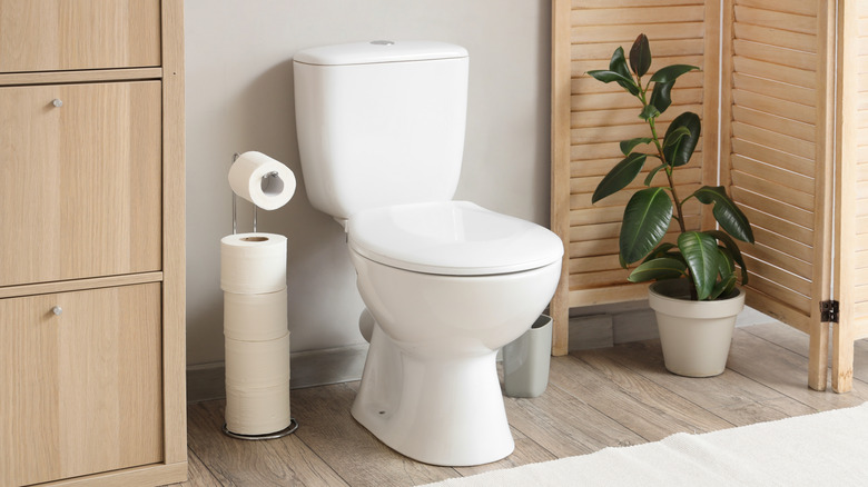 A white toilet in front of a freshly painted gray wall
