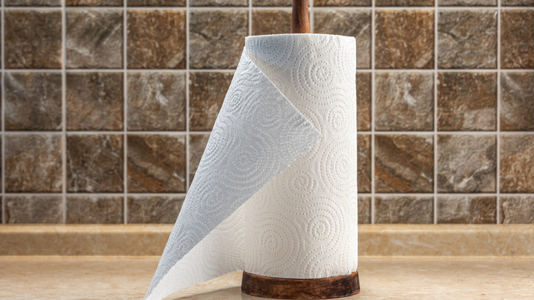 Paper towel holder sitting on kitchen counter