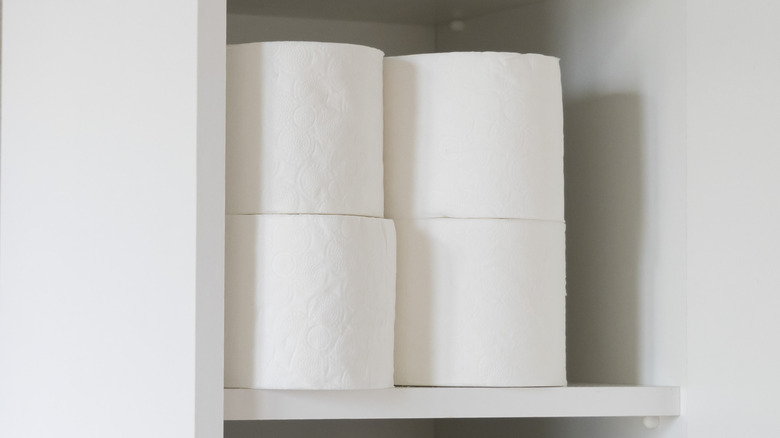 Toilet paper cabinet