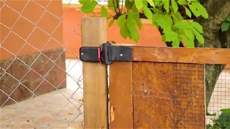 A plywood and chain link gate being held closed by a seatbelt buckle acting as a gate latch.