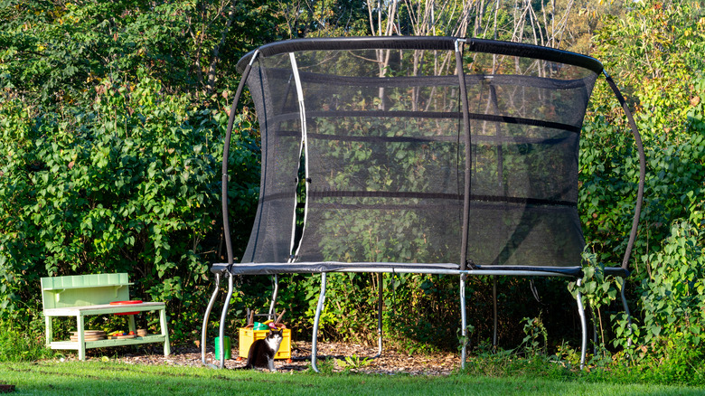 black kids trampoline in garden