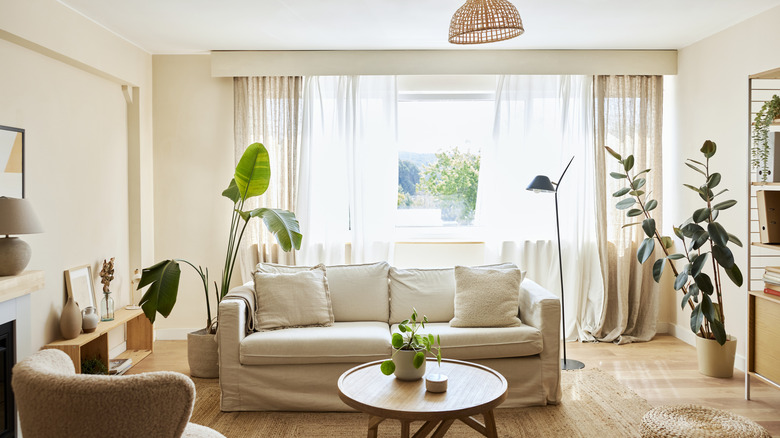 Curtains in a living area