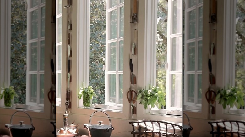 Open kitchen window with plant on sill and utensils hanging on wall
