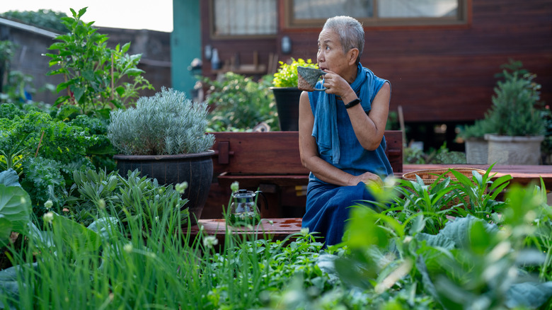 An elderly woman drinking tea in her garden