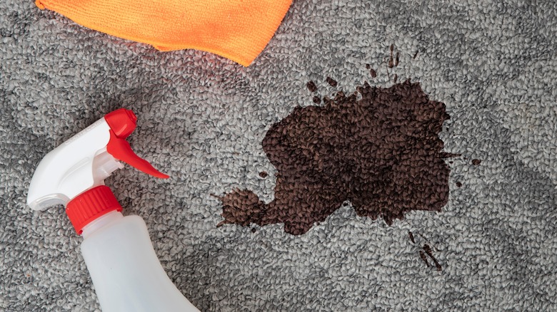 Spray bottle and stained rug