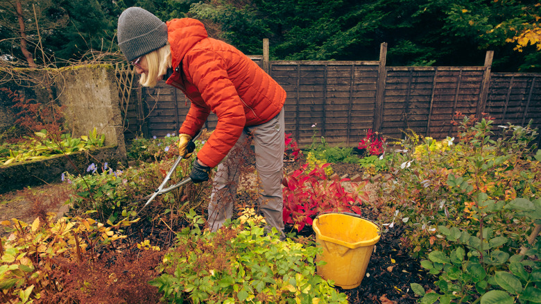 Woman gardening in orange coat in the winter
