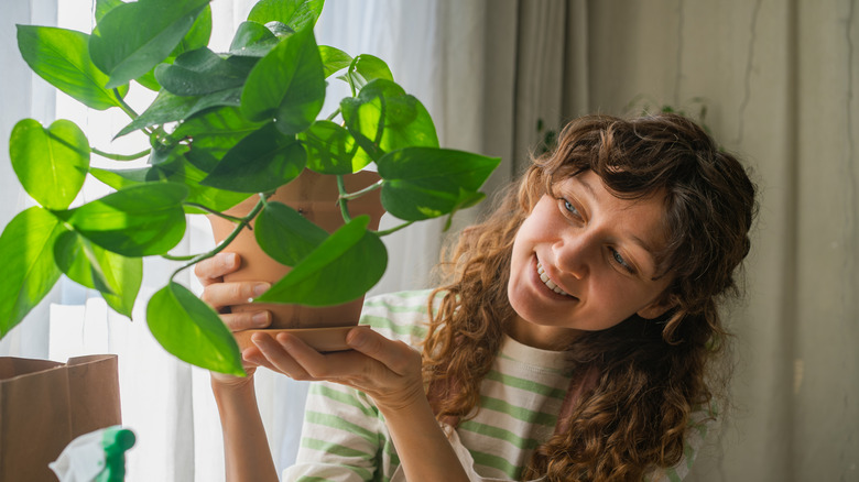 Woman holding devil's ivy plant in pot