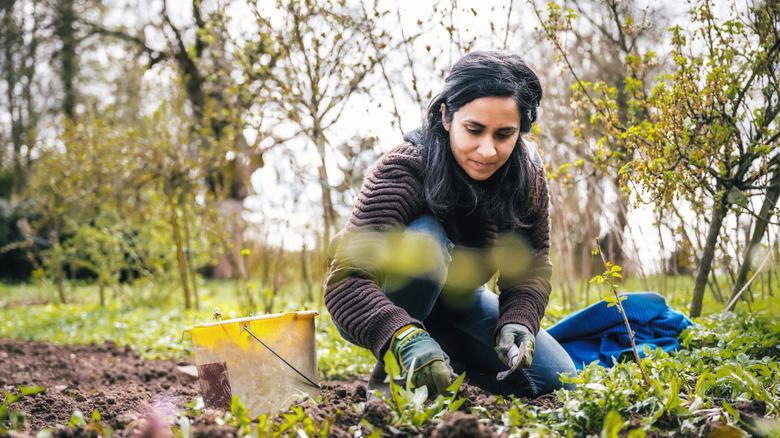 Serious-looking woman in garden