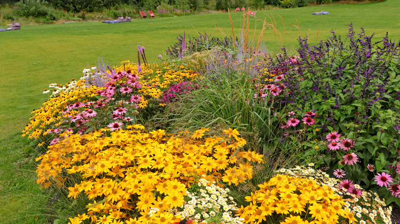 The edge of a flower garden with many different colored and types of blooms