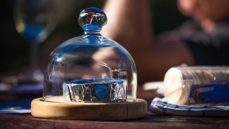 A glass cloche with wrapped cheese inside