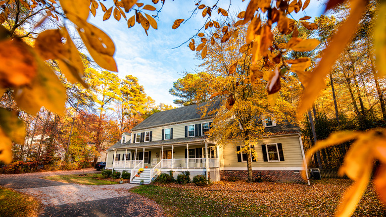 Large single-family home with trees and autumn foliage all around it