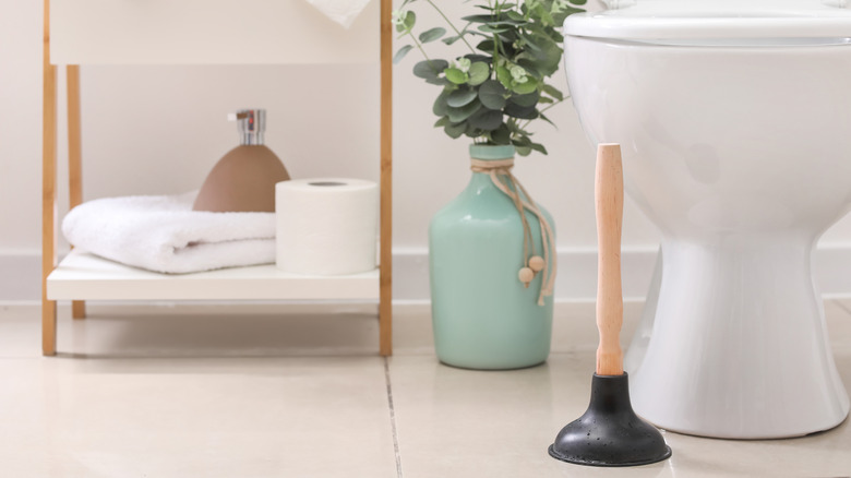 Plunger in front of a toilet bowl and vase