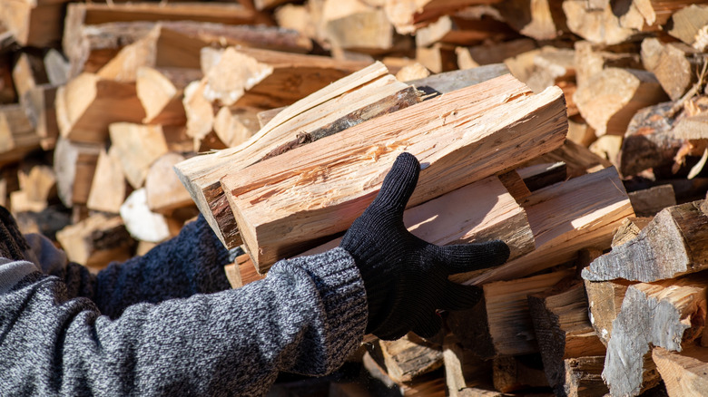 Person stacking firewood