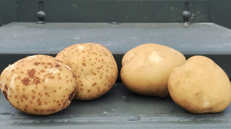 White potatoes with scab