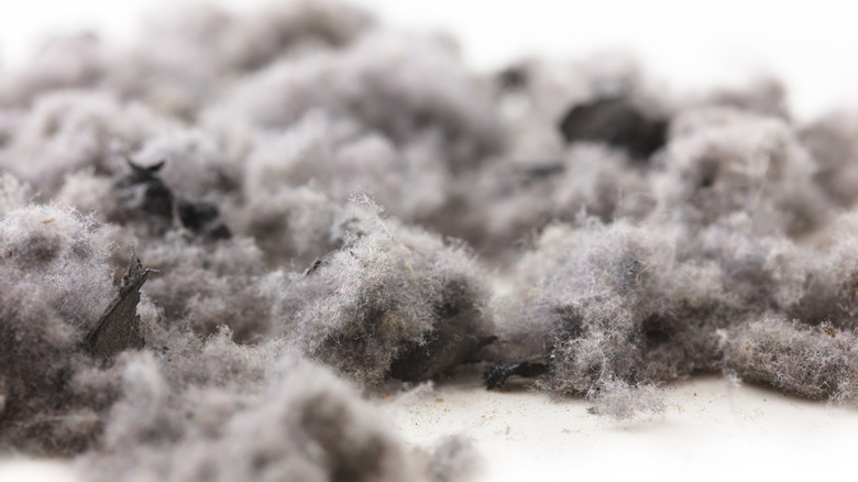 Clumps of dust