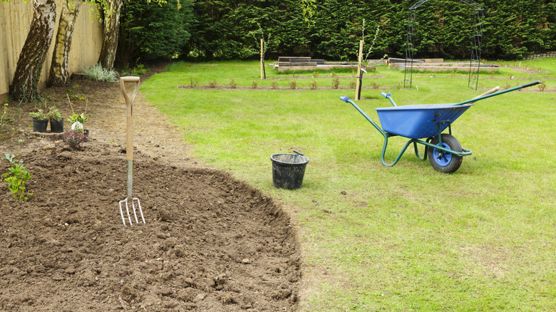 A newly created garden bed with poor soil in a large backyard with a bucket and wheelbarrow on the lawn.