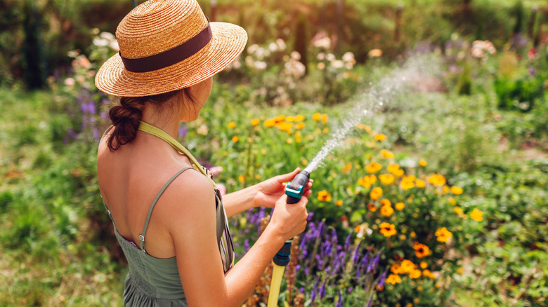 A woman watering her flower garden with a hose