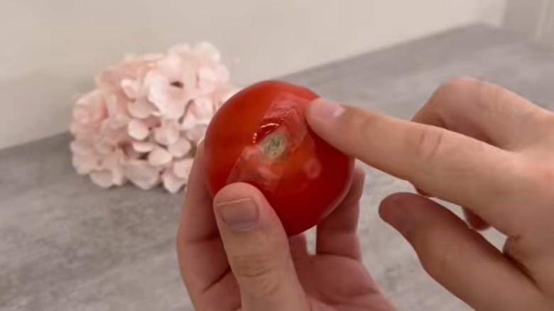 Person placing clear tape over the stem end of a tomato
