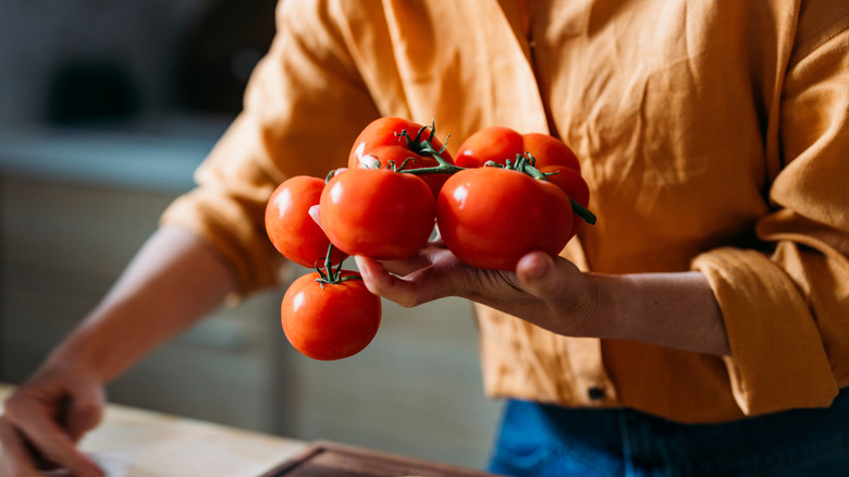 Person in an orange button down shirt holding a bunch of ripe red tomatoes still on their vine