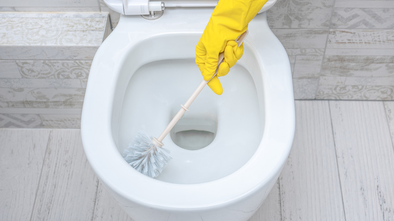 How to Clean a Toilet Brush and Holder