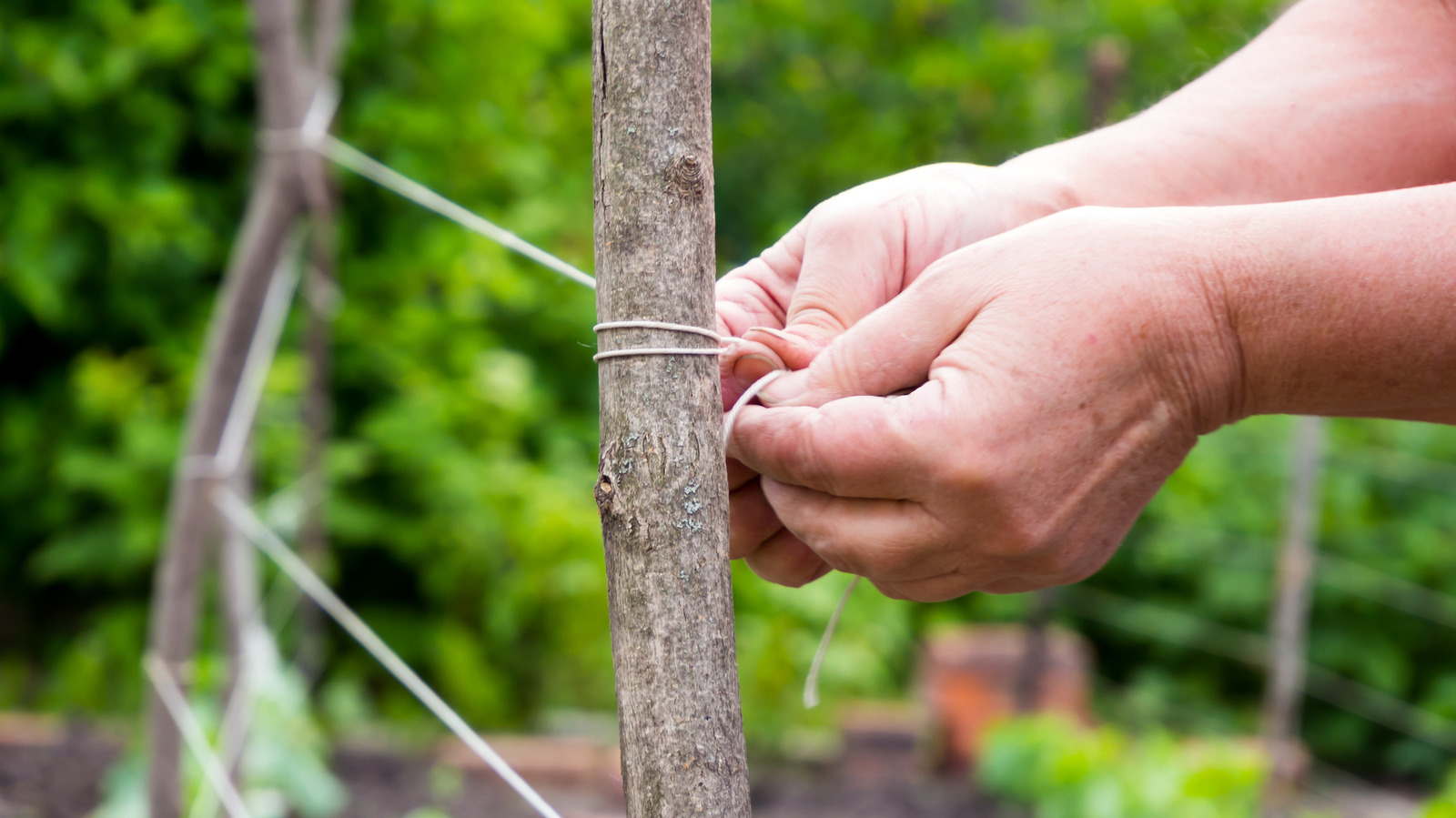 The Handy Way To Store Your Gardening Twine