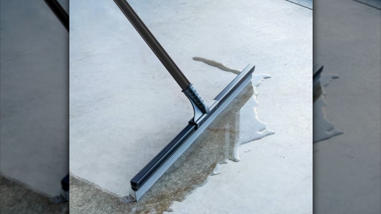 https://www.housedigest.com/img/gallery/the-handy-way-to-use-a-squeegee-to-clean-up-spills/which-squeegee-to-buy-for-spills-1688755375.jpg