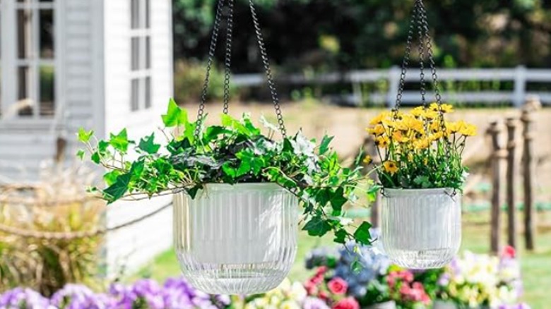 Two clear plastic hanging pots hold plants outdoors.
