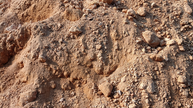 Close-up photograph of rocky soil.