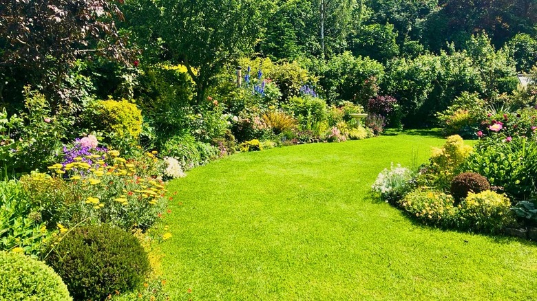Green garden with grass, shrubs, and flowering plants