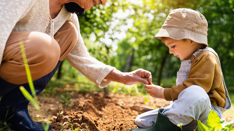 Grandmother and grandson planting seeds in a garden