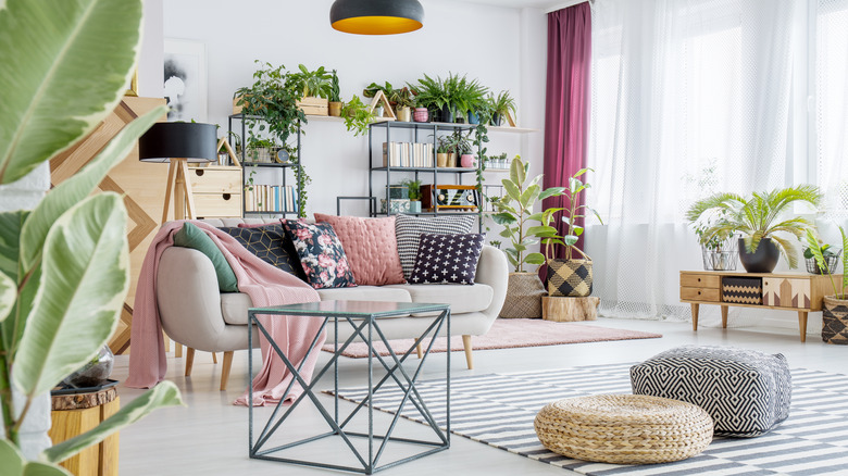 A variety of plants in indoors in filtered light