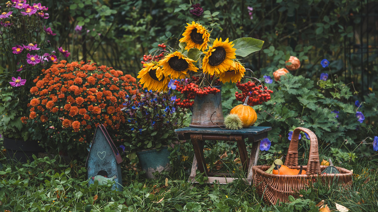 Autumn garden with flowers and pumpkins