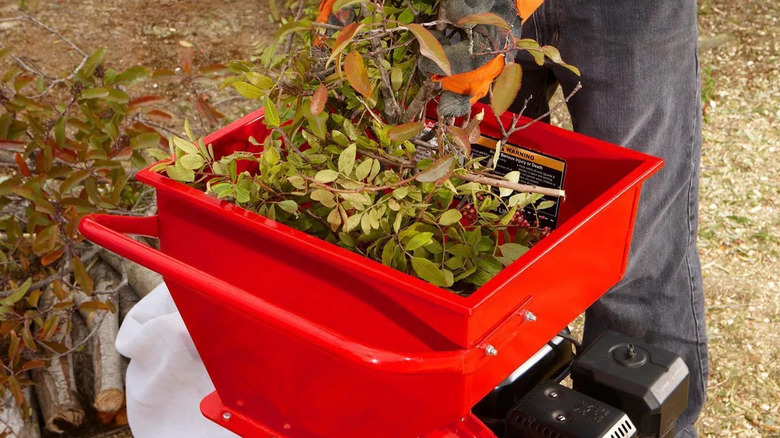 A gardener feeding waste into the top hopper of the Predator 6.5 HP chipper/shredder from Harbor Freight