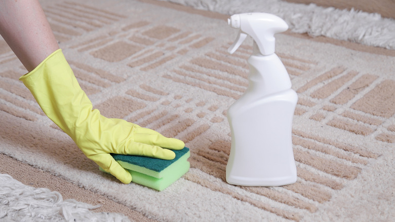 A person cleaning a textured rug with a sponge and spray bottle