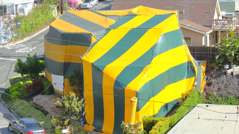 house tented for fumigation