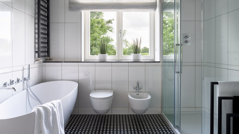 bathroom with bidet and toilet